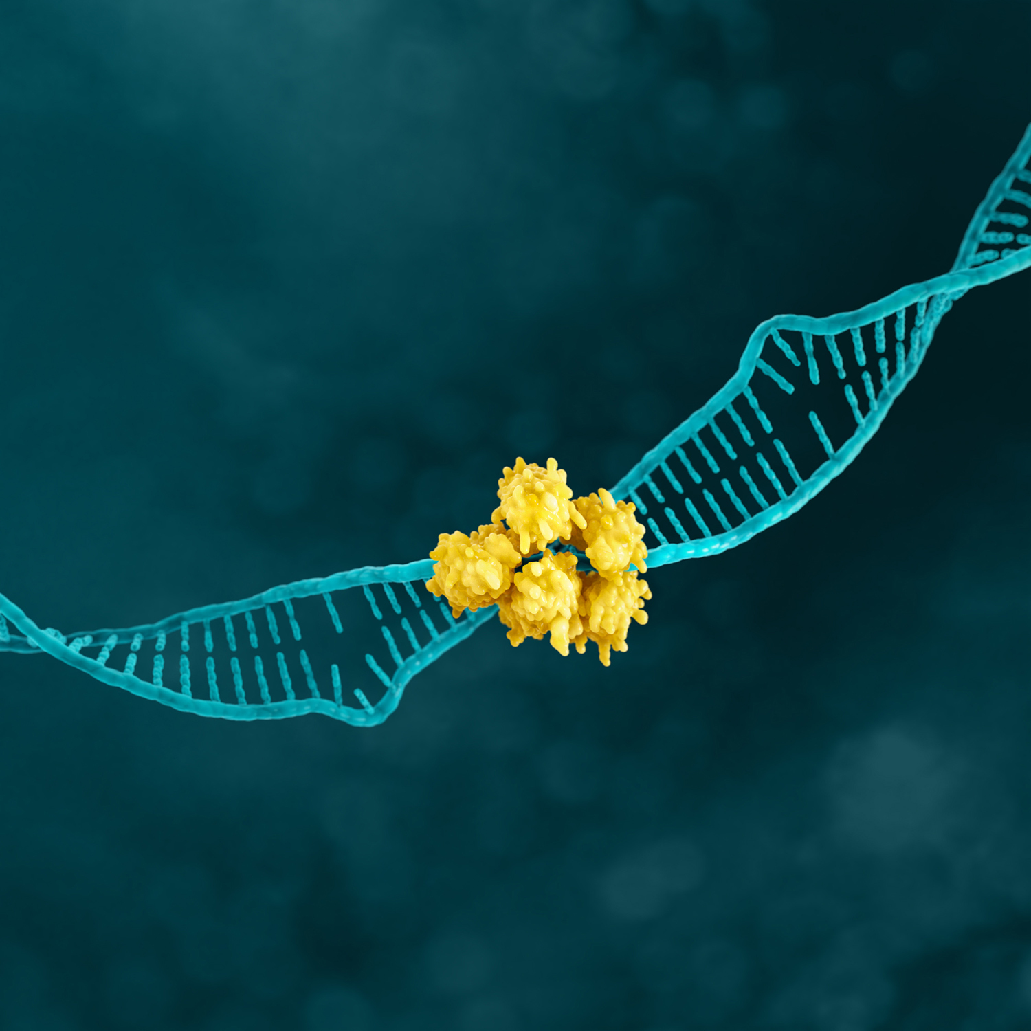 MSI biomarker.